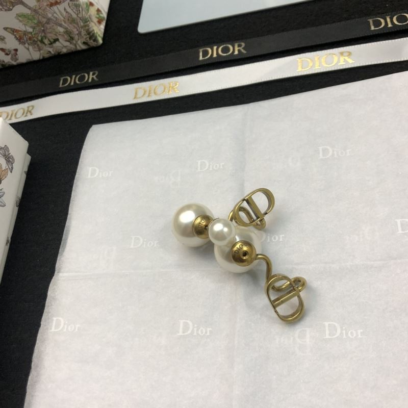 Christian Dior Earrings